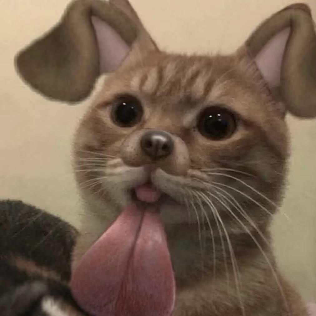 女王身边养的一只猪的喂猪妹