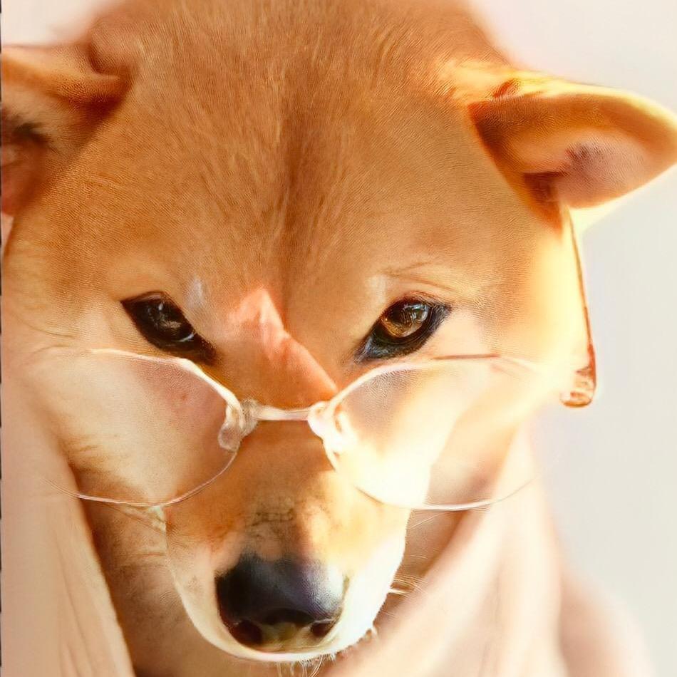 北决