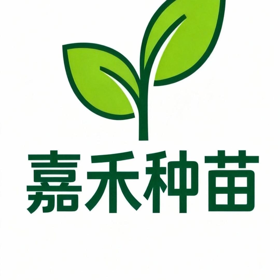 嘉禾蔬菜种苗