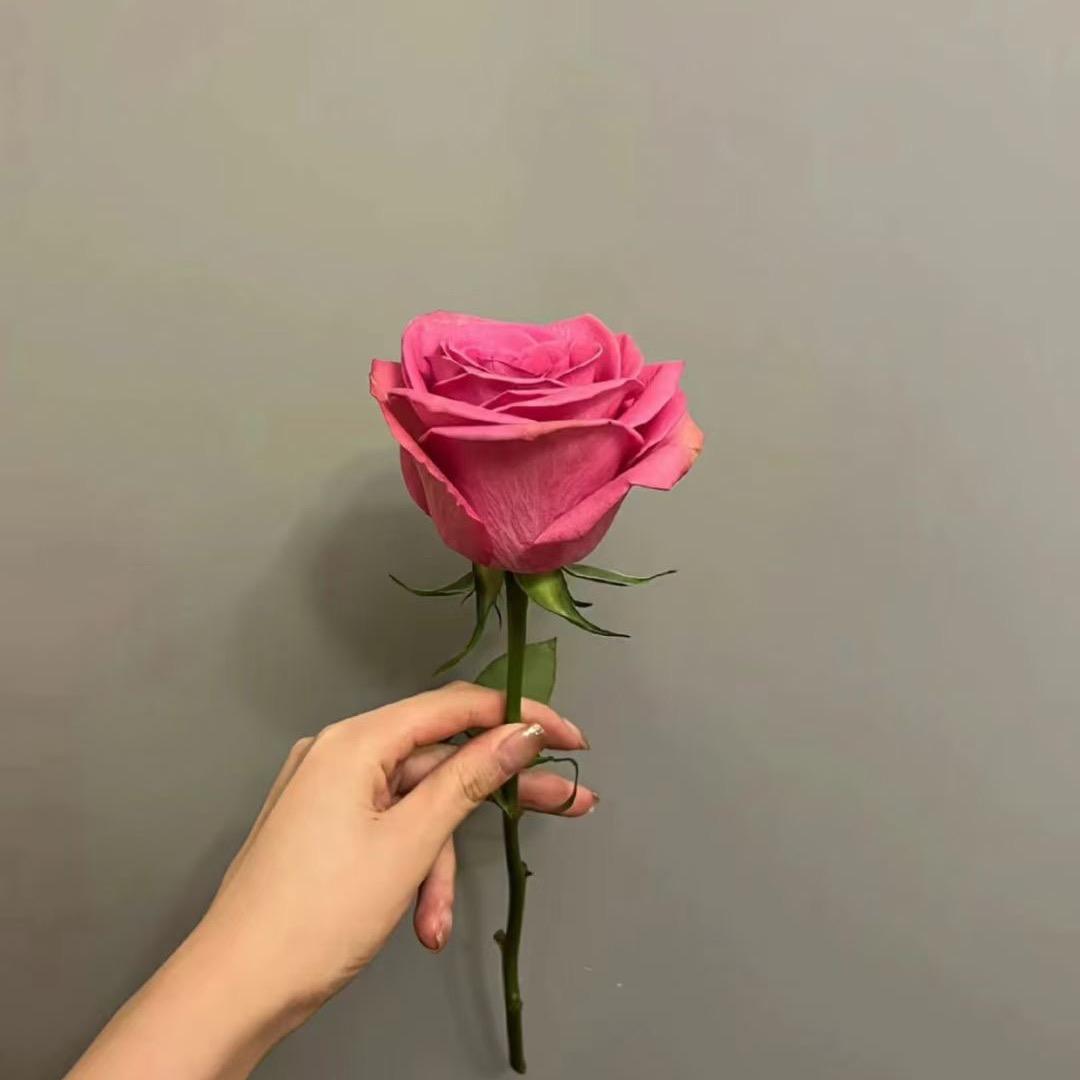 花同学
