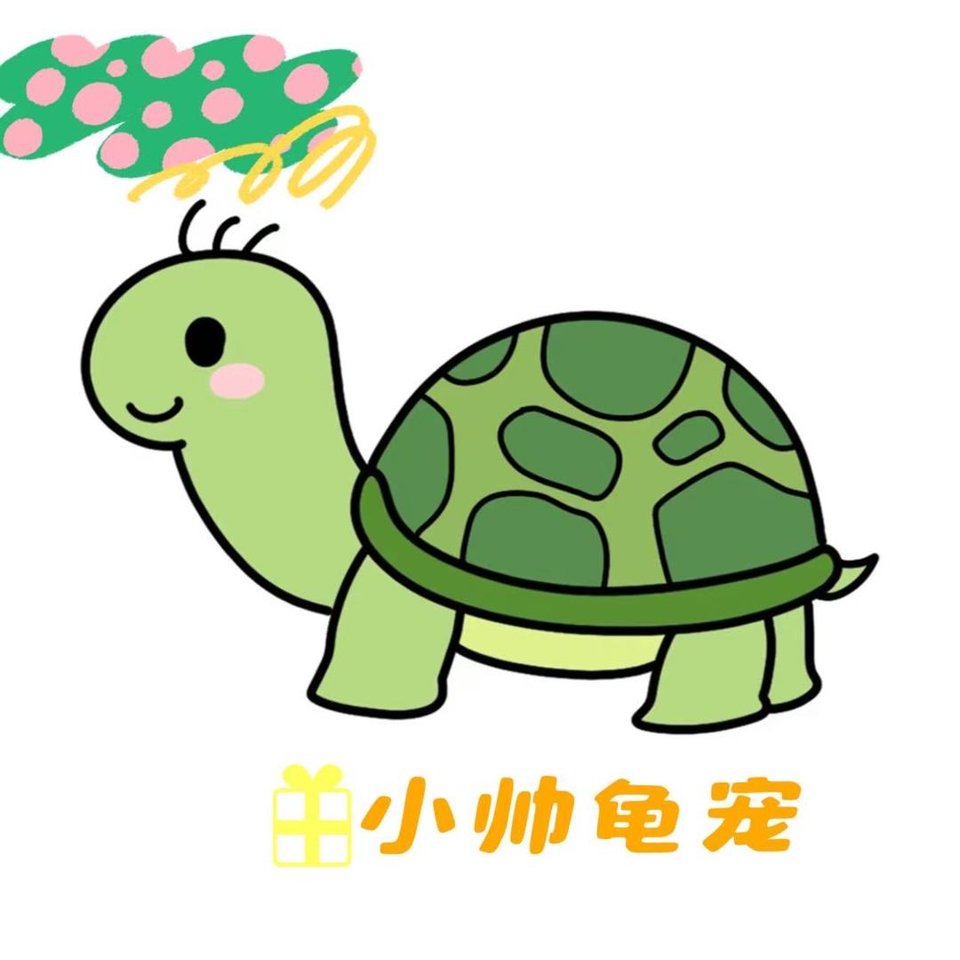 小帅龟宠