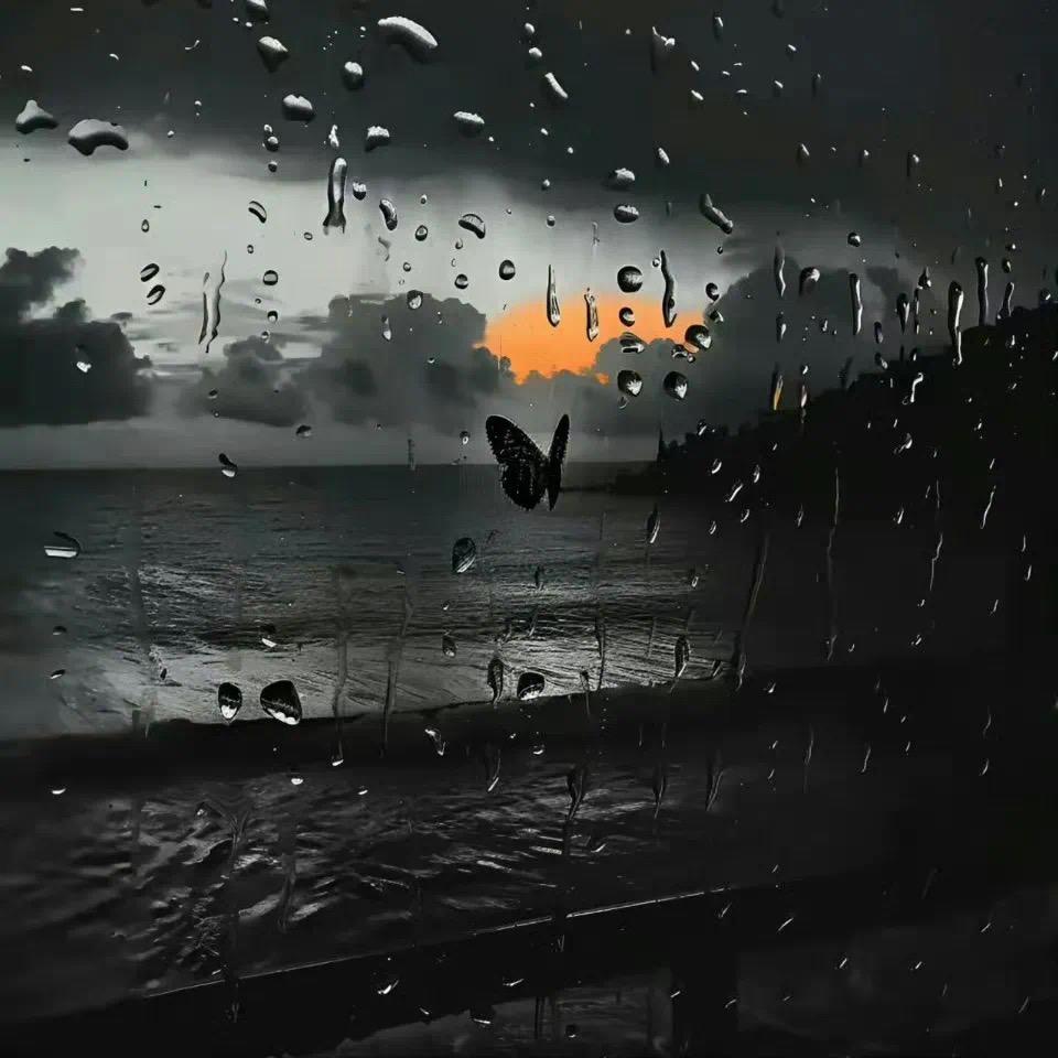 小雨迟迟