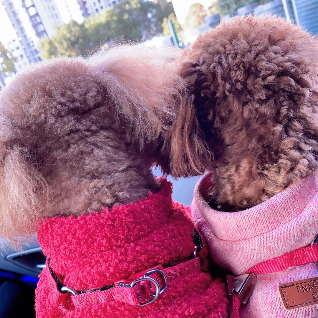 惠丽馆👩‍🦰👠