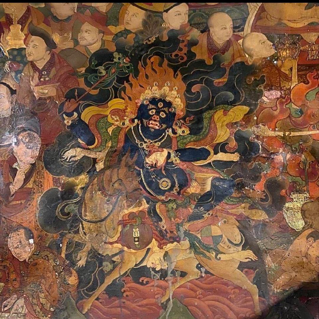 🌾一介车夫🚜