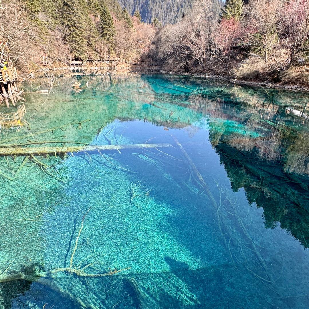 槐序深巷🍃