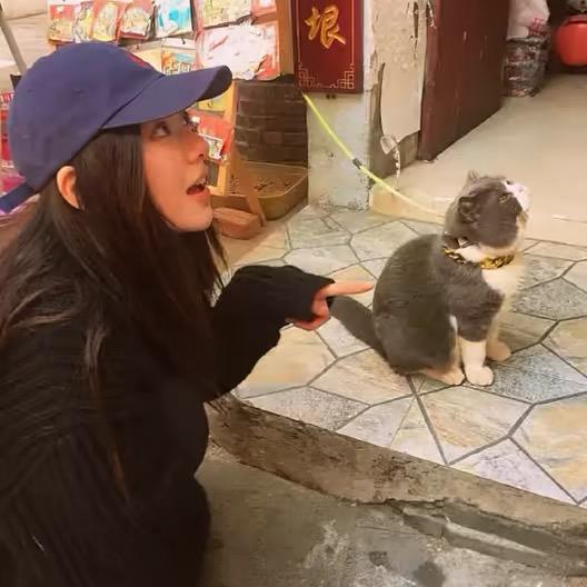 炖猪脚