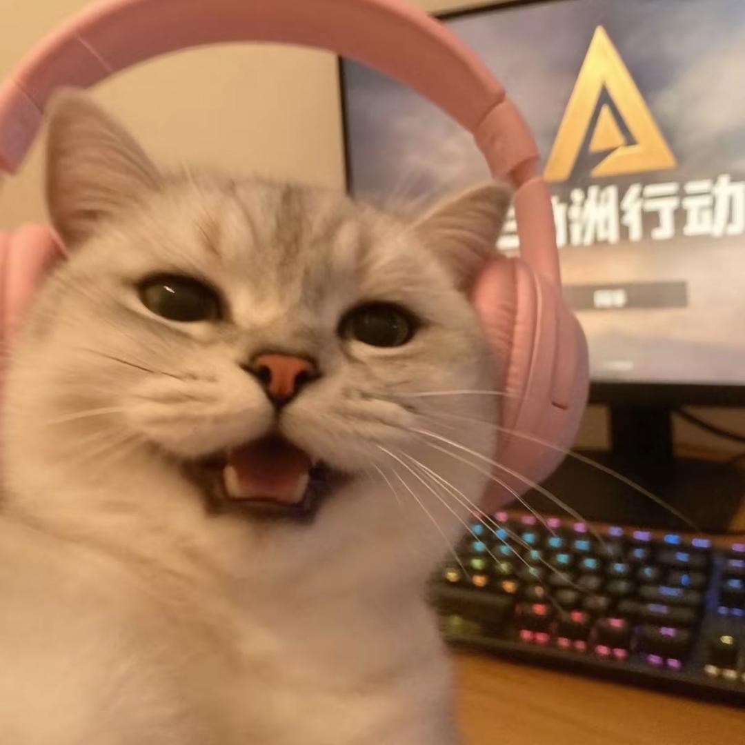 气到劈叉