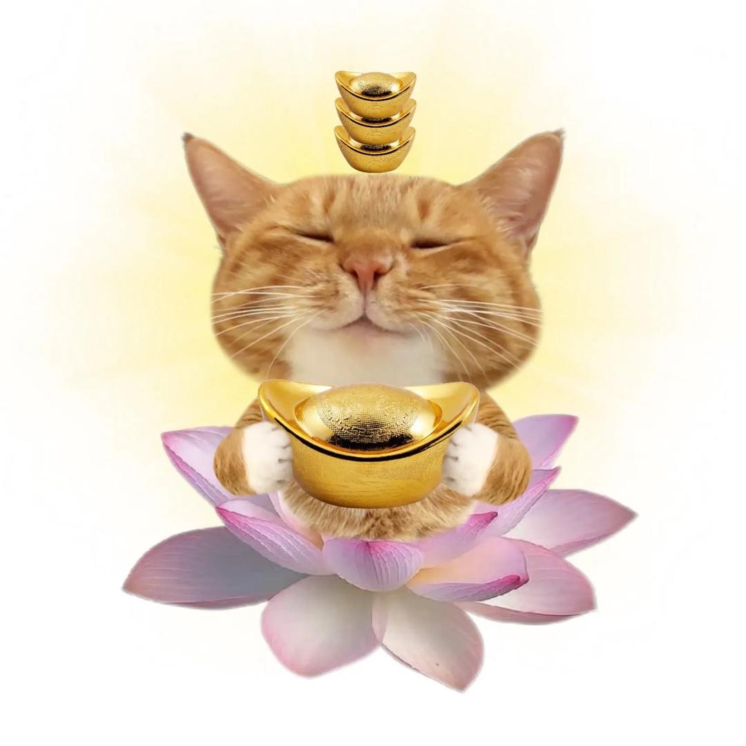 小刘要早睡(好运来版)