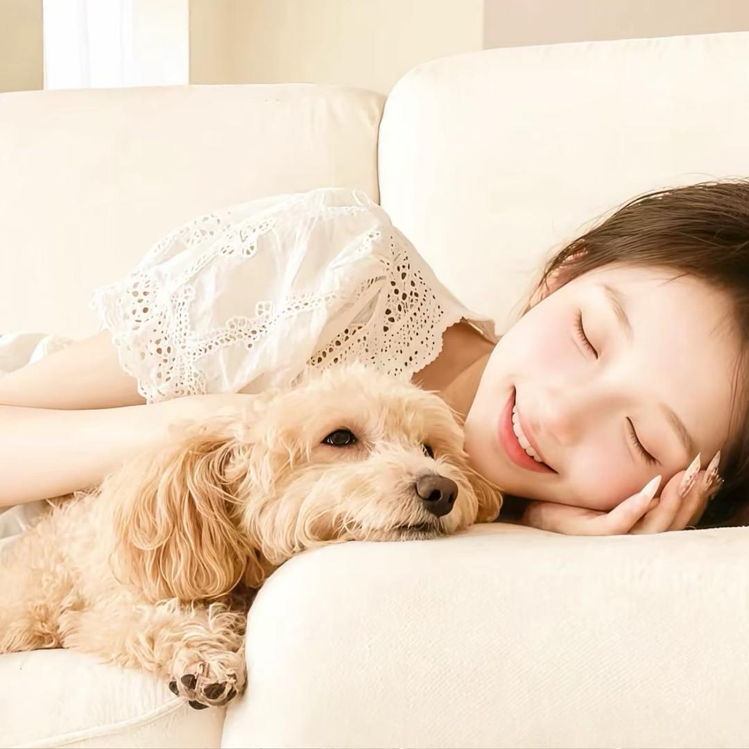 虚伪的人都去死