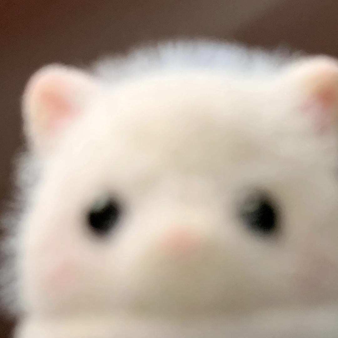 yy