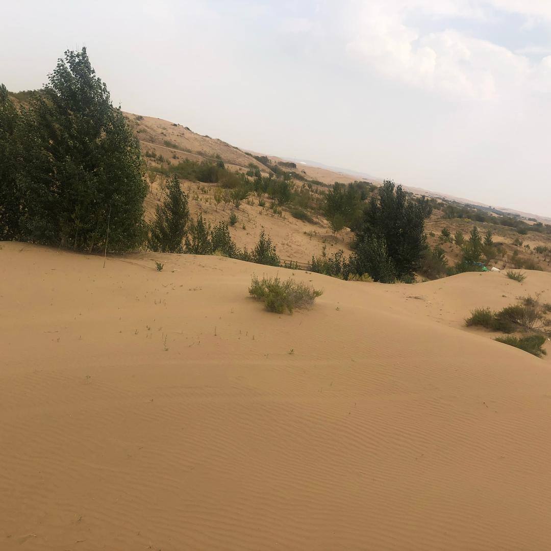 ~🎈🪏⛏️💐䥝£| €ぃྱ♥