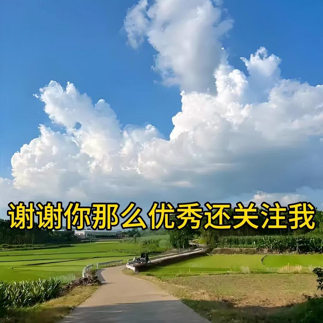 中中中甄选农产品