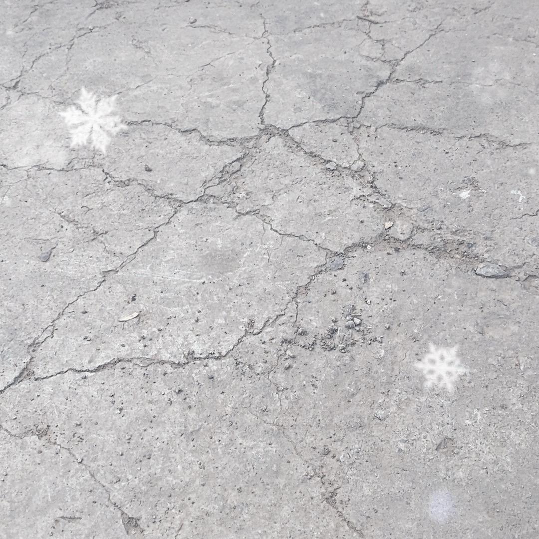 一枝花