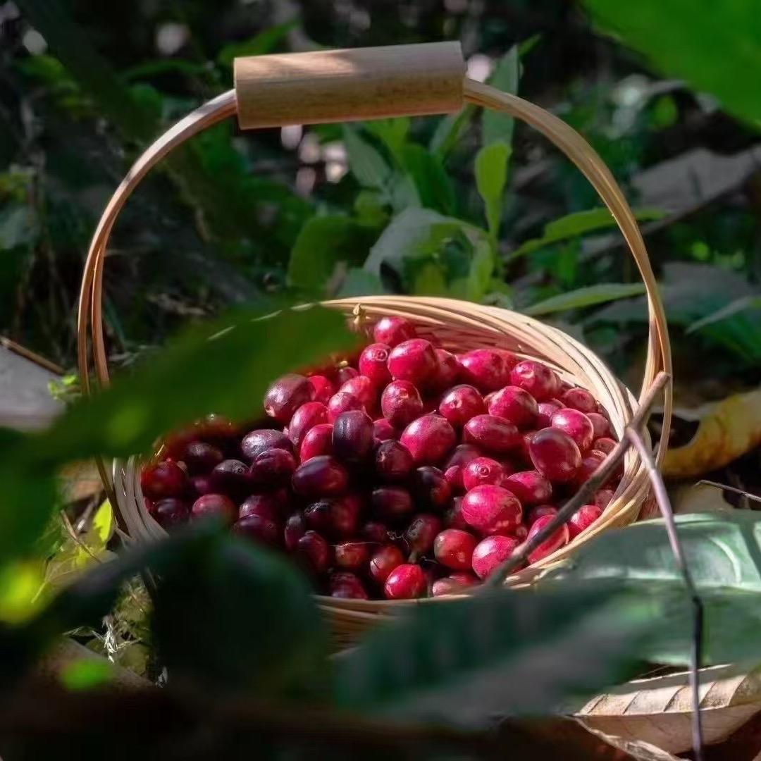 初云谷喜洲四店
