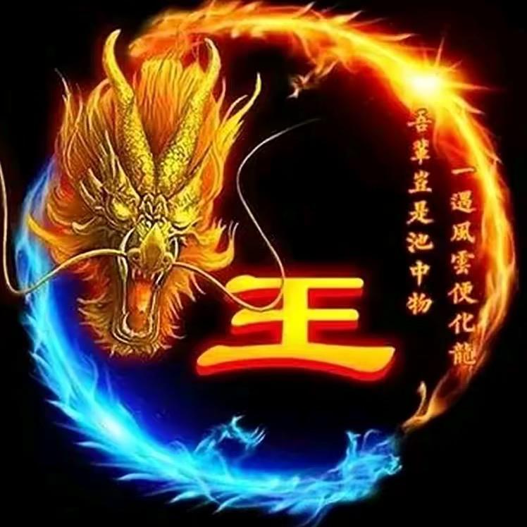 孤独的狼682