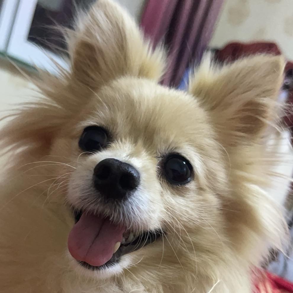 小美🍚