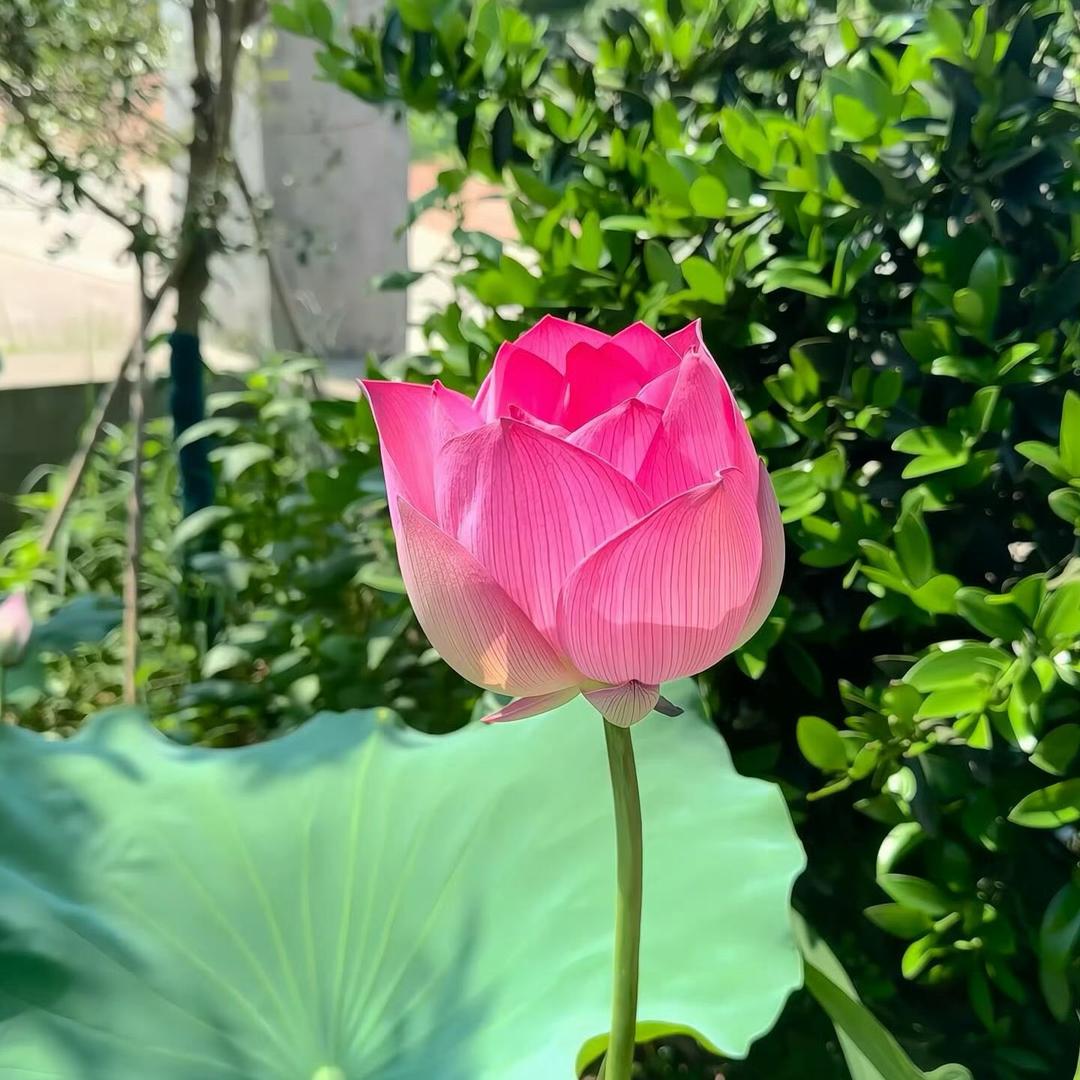 諳豐熾鷚생각记录日常生活