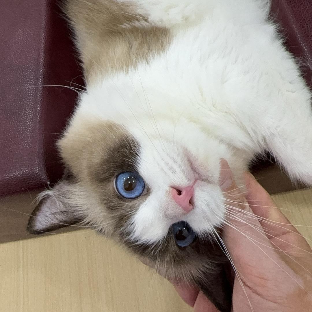 🌈🌈🌈🌈July九黎