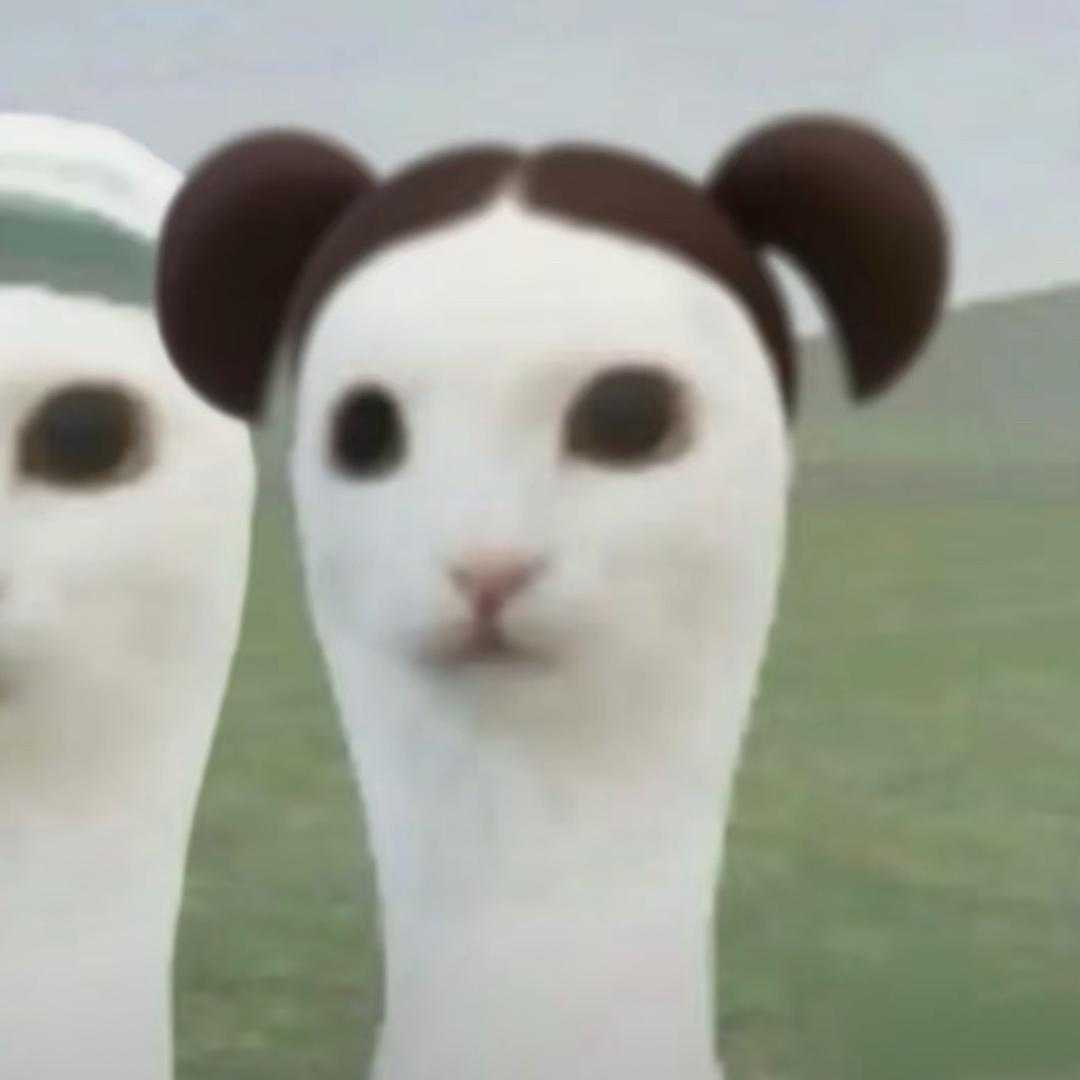 薇鹅嘎登