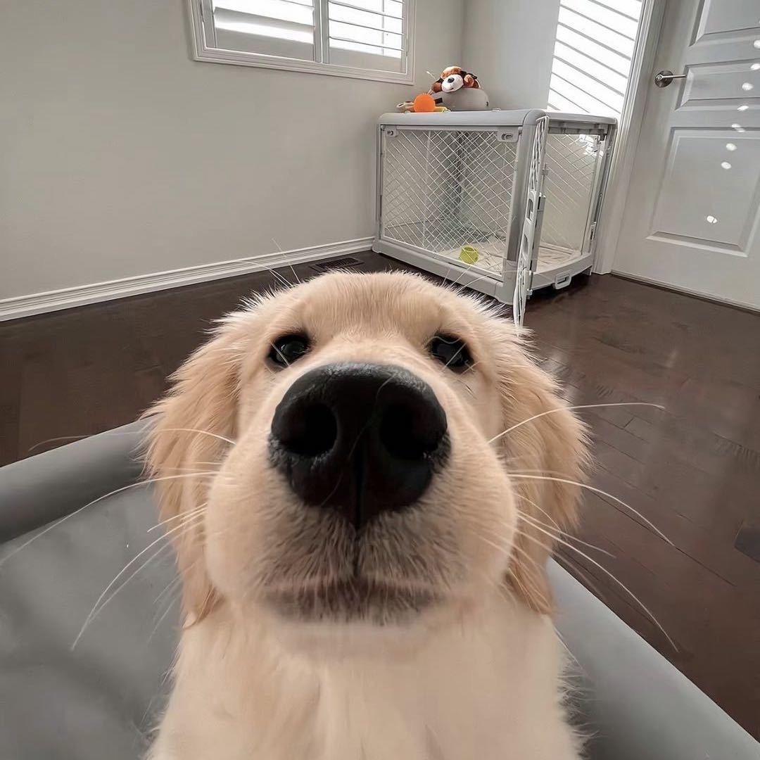 东东🚶🏻‍♂️