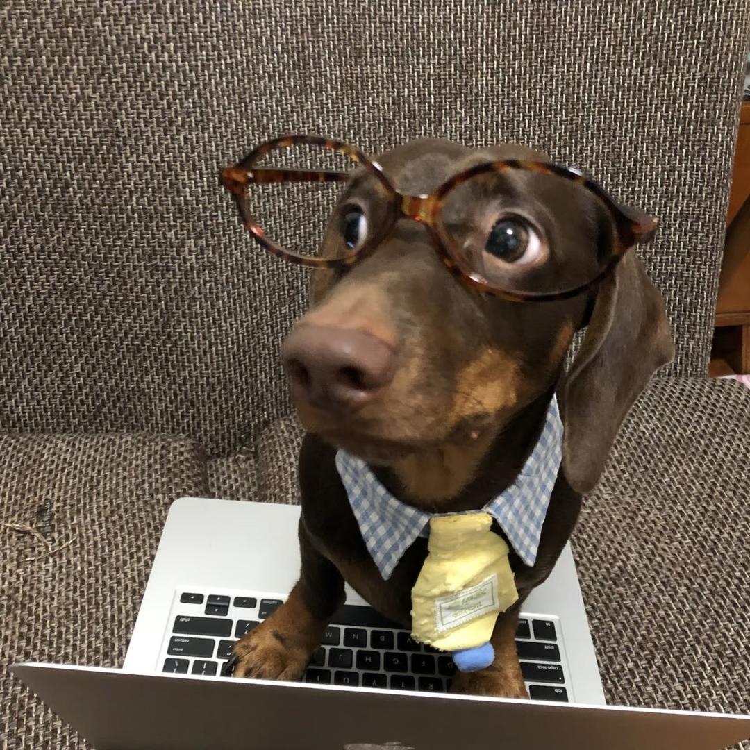 老白好黑🙎🏿‍♀️