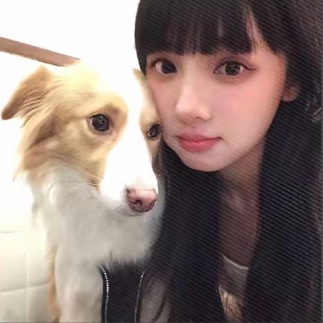小羊爱睡觉.