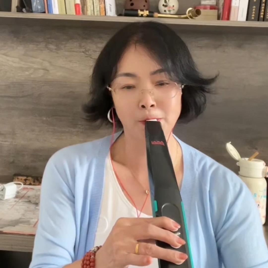 燕子🎶
