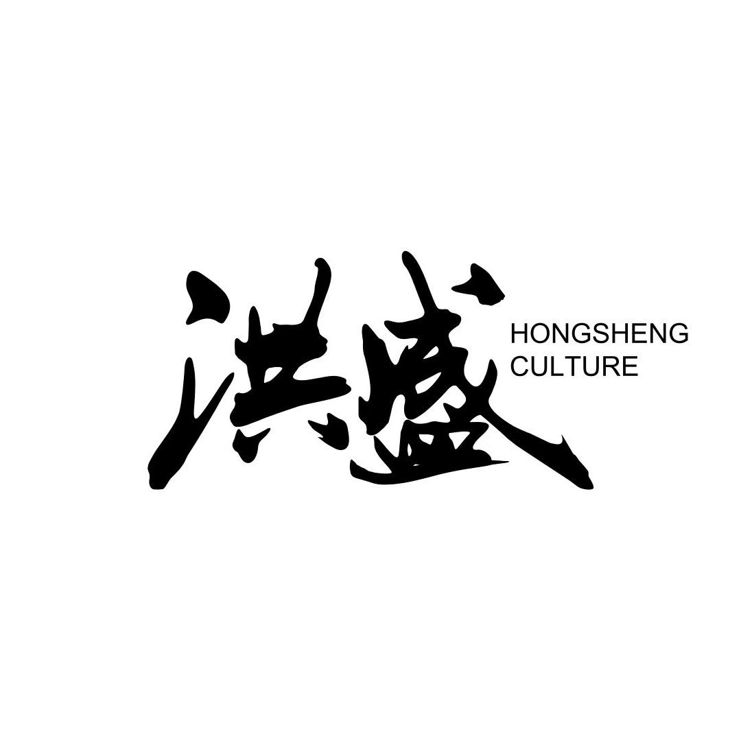 洪盛传媒