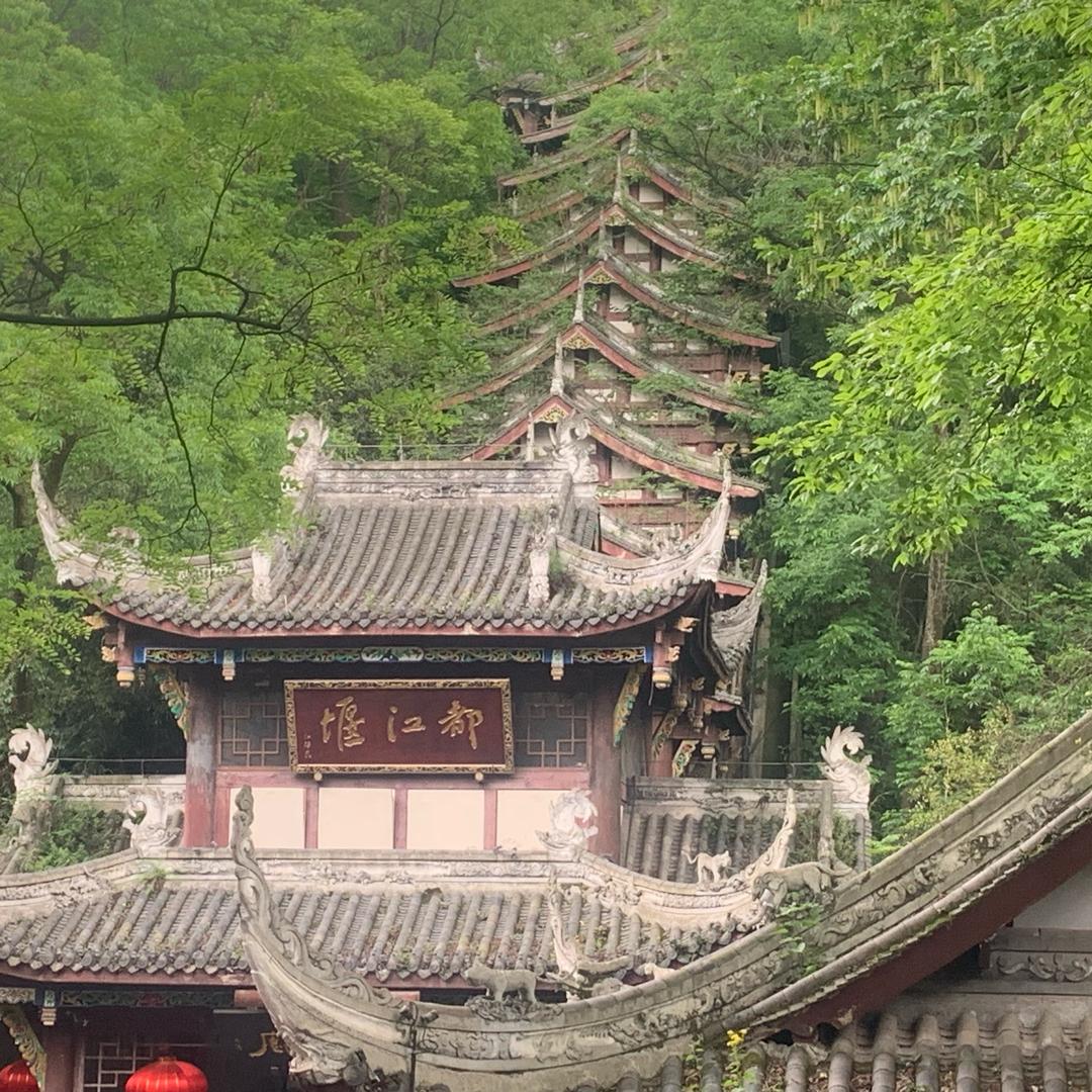 蒲公英@