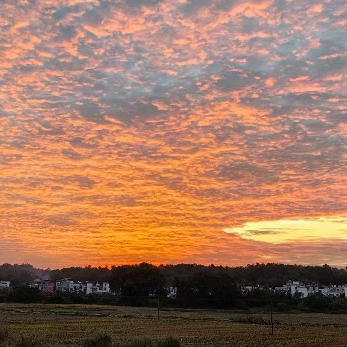 泪水打湿猪脚饭