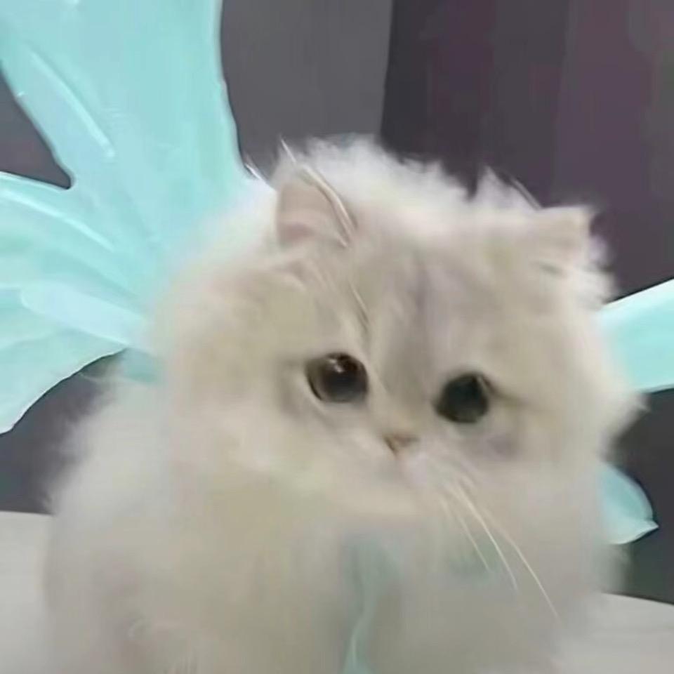 记忆随风飘