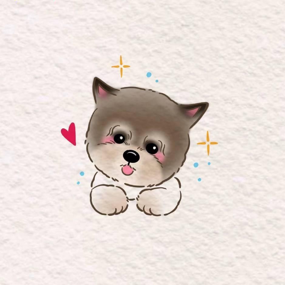 Caroline🐶🐱salon