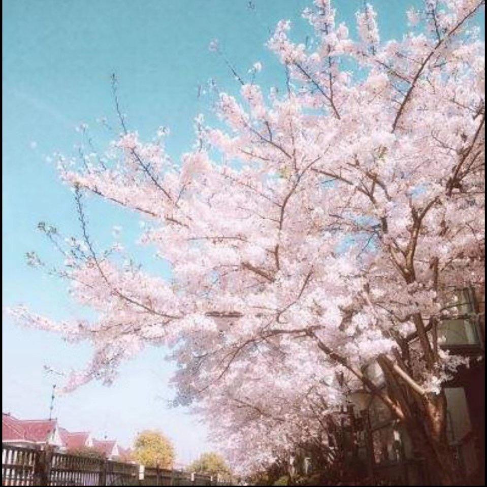 水光润月