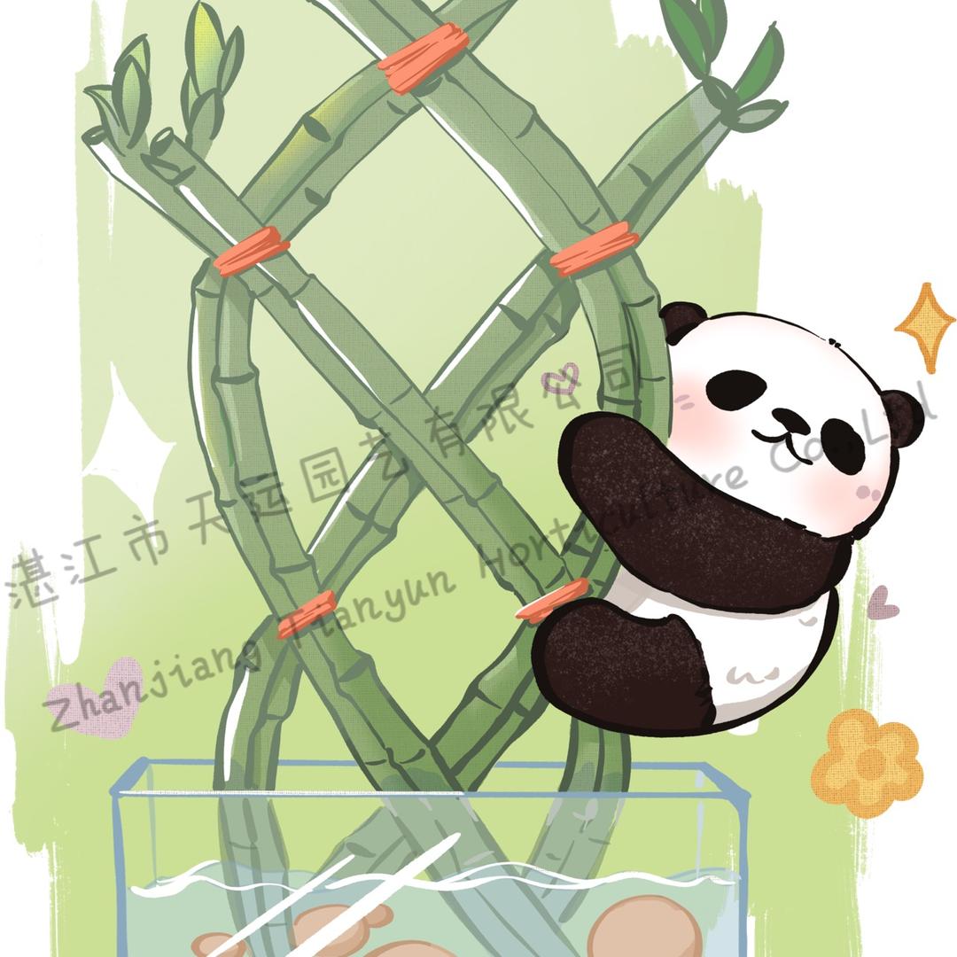 天运园艺(首播下午2:10)