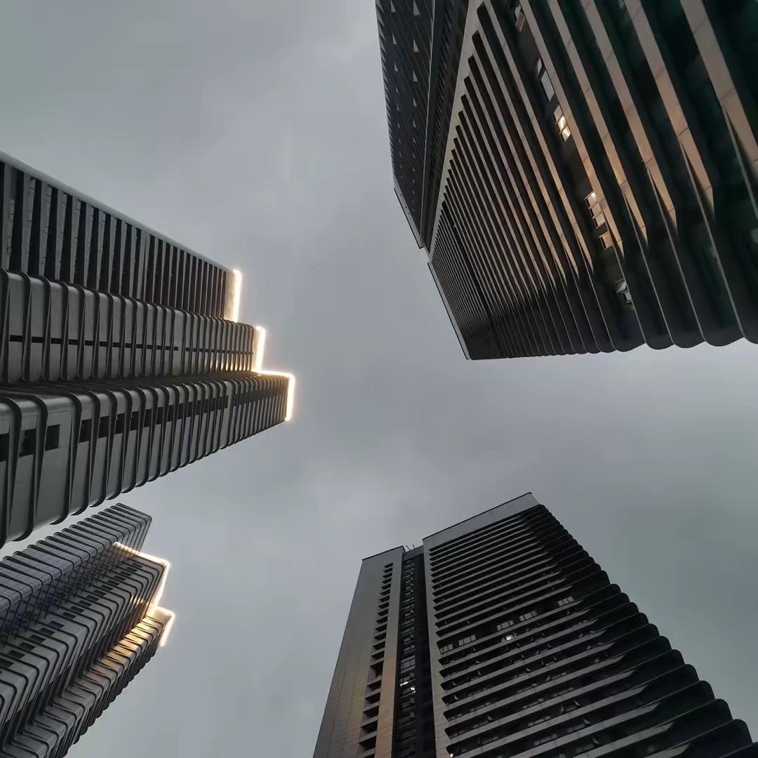 我本可以