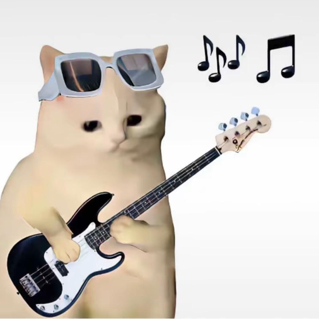 🎸🎸