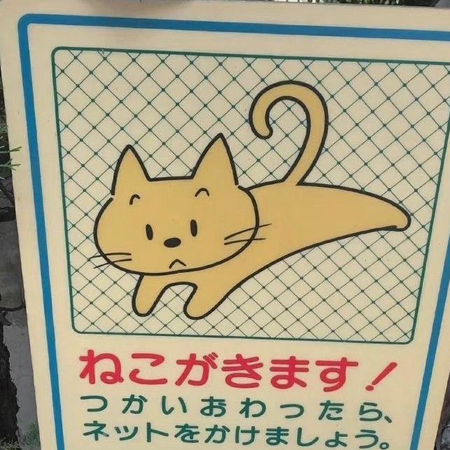 离子态伏特加小猫