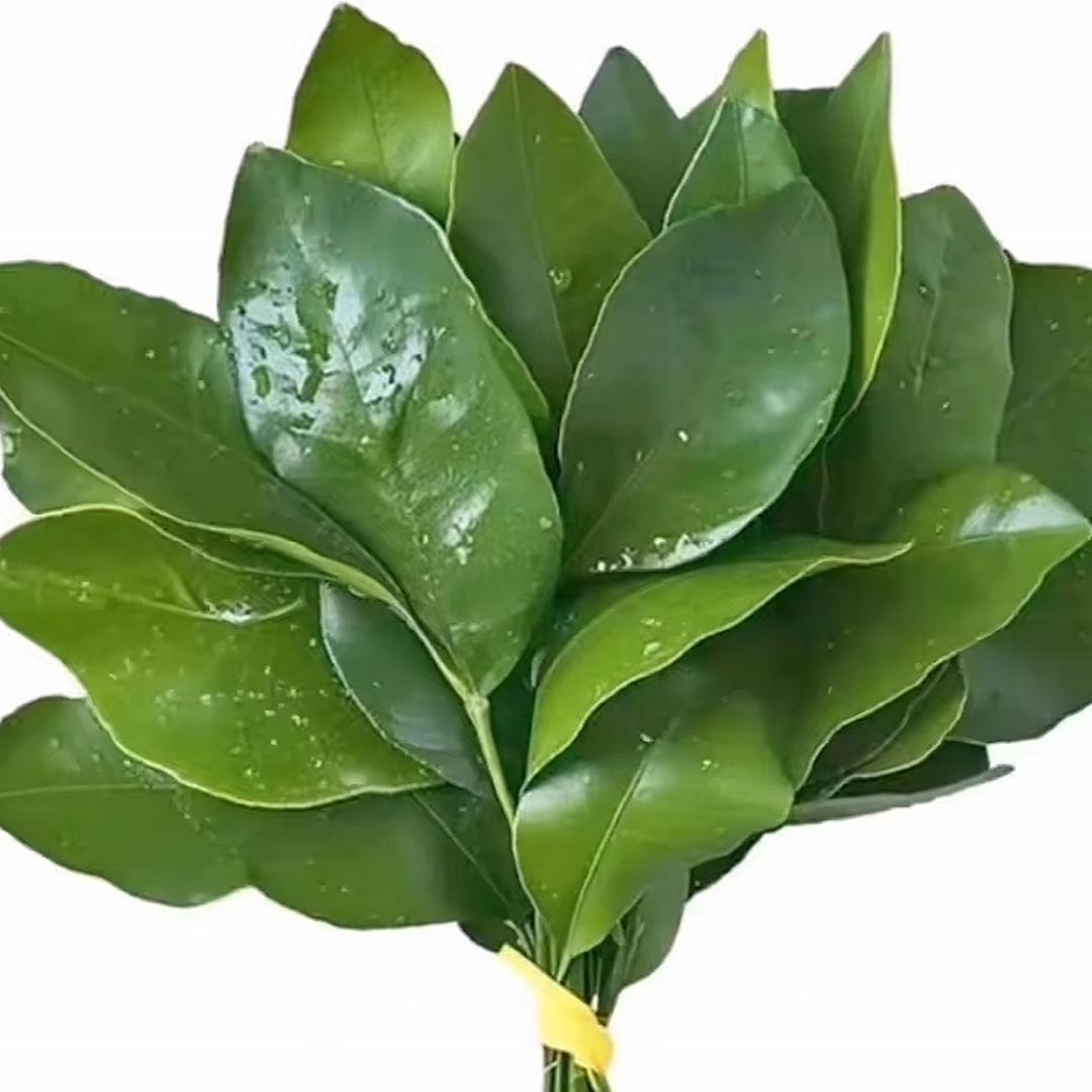 阿悦