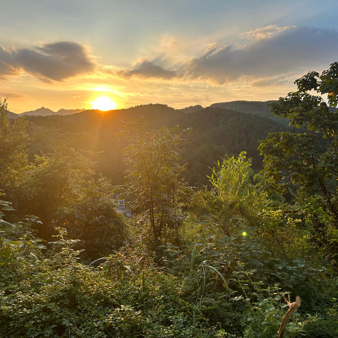 遵义市红花岗区，春哥鲜面店，面条饺子皮加