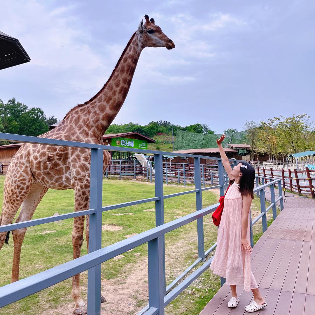 云朵上的星星🌟