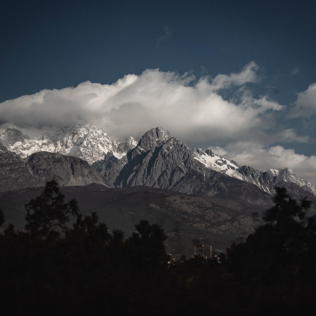 樱花树下站谁都美
