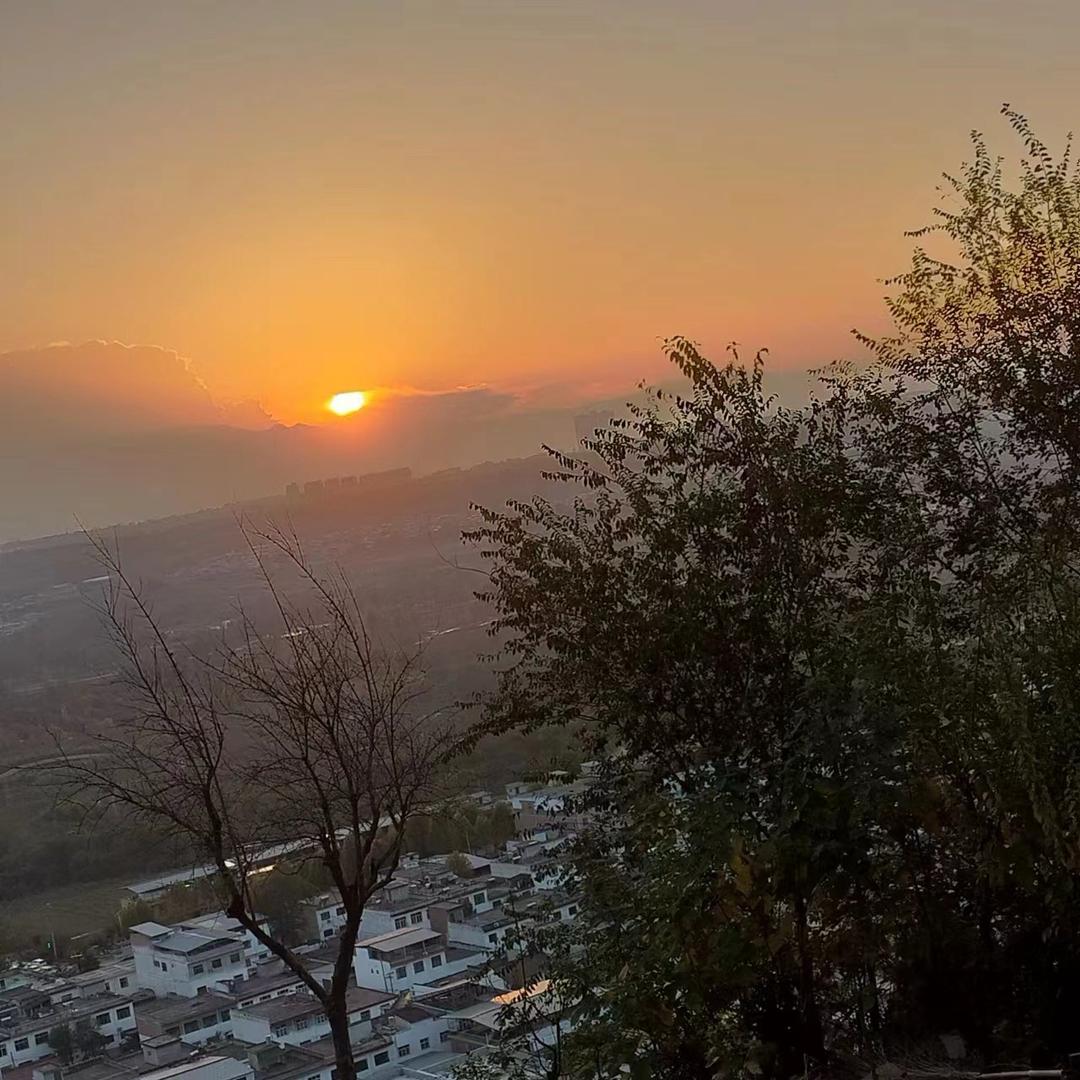 🥀⃟曾經再美᭄也是傷꧀ᩚ࿐