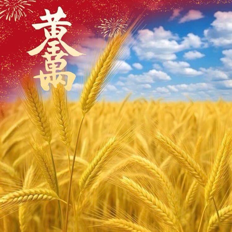 悠悠姐