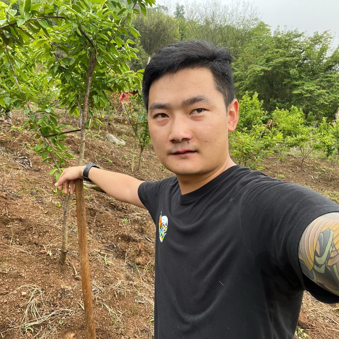 云南山货-野路子