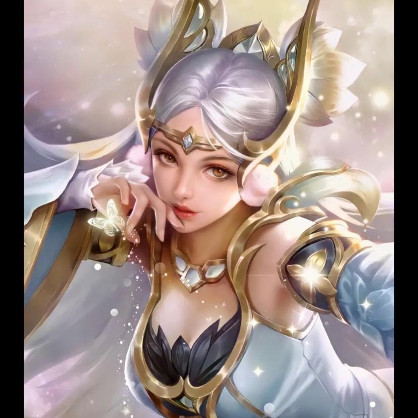 王者荣耀小辉627