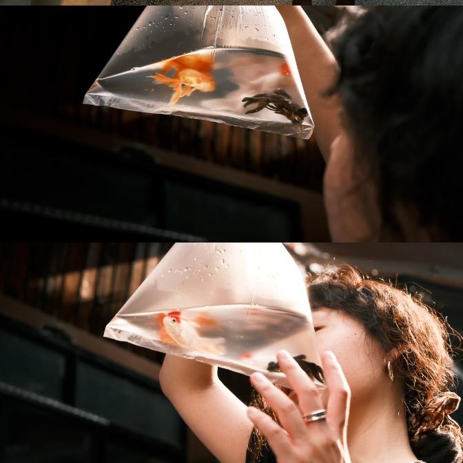 纯然水族
