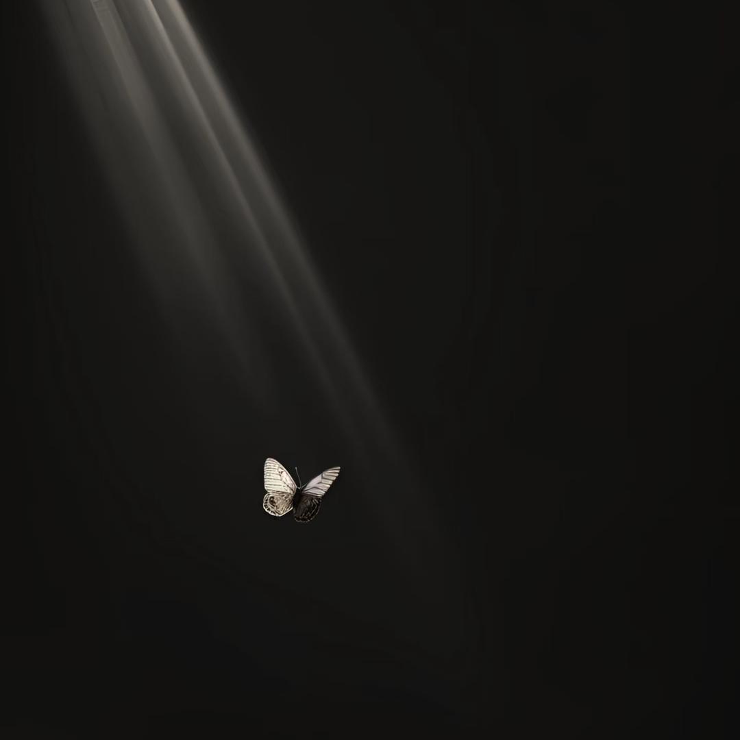 用户118612041841
