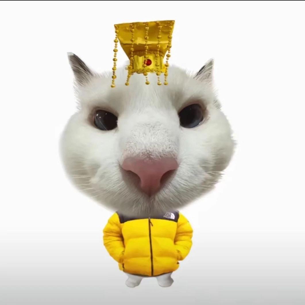 哥是真的帅（脆弱版）