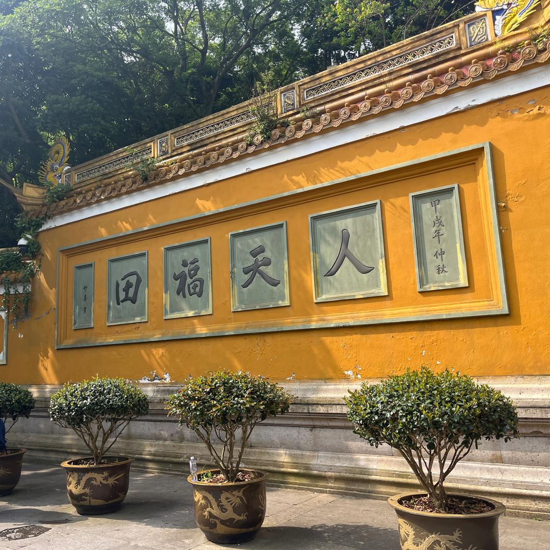 🇨🇳不同凡响🤡