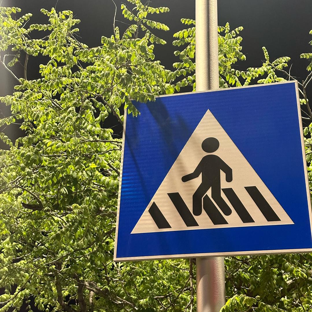 ZhAnG.（俺们屯靓仔）